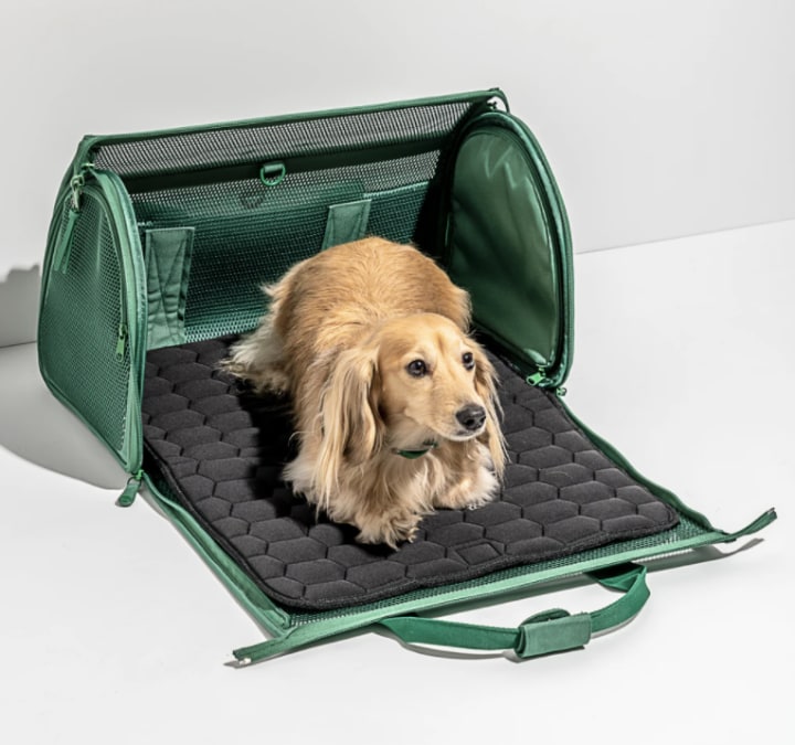 Wild One Travel Carrier. Wild One launches new Extra Small Harness for dogs.