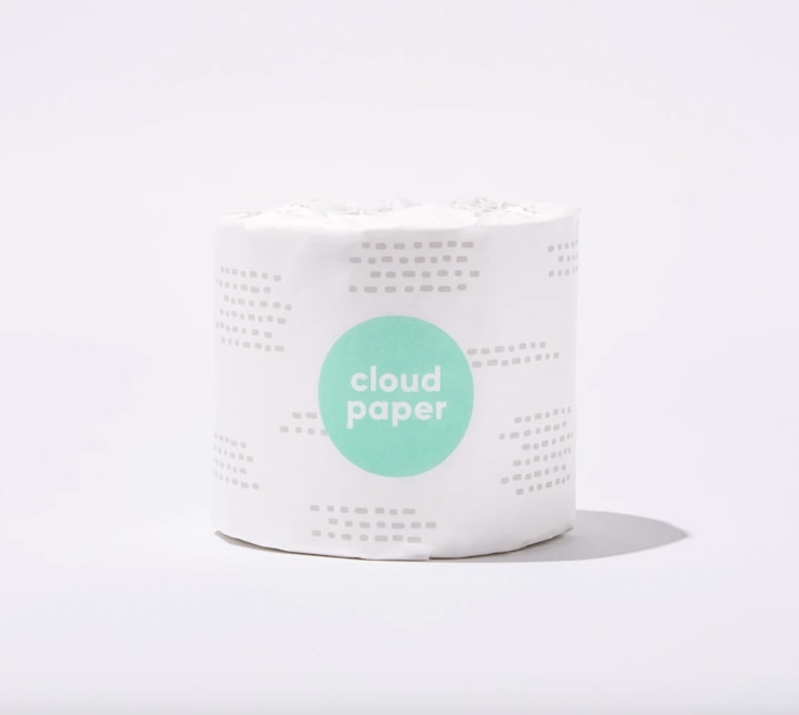 Cloud Paper-free Toilet Paper. Best sustainable bathroom products in 2021.