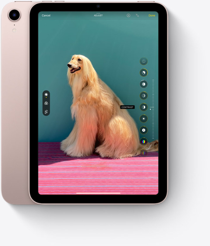 Apple iPad Mini
