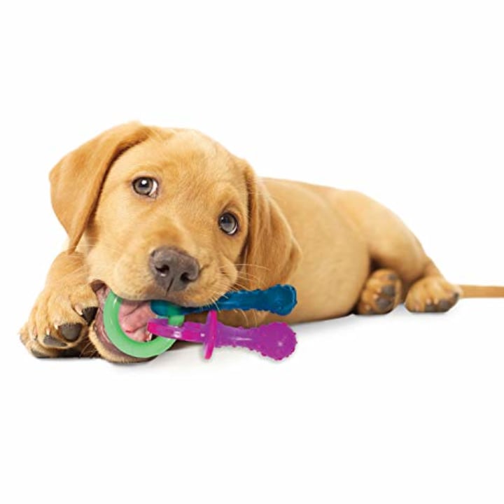 Nylabone Puppy Teething Chew Toys