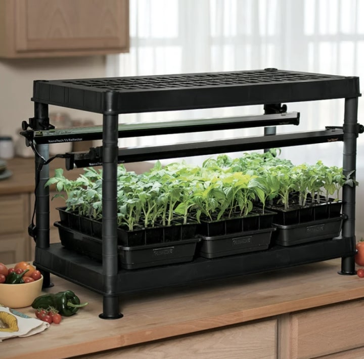 Indoor Vegetable Growing