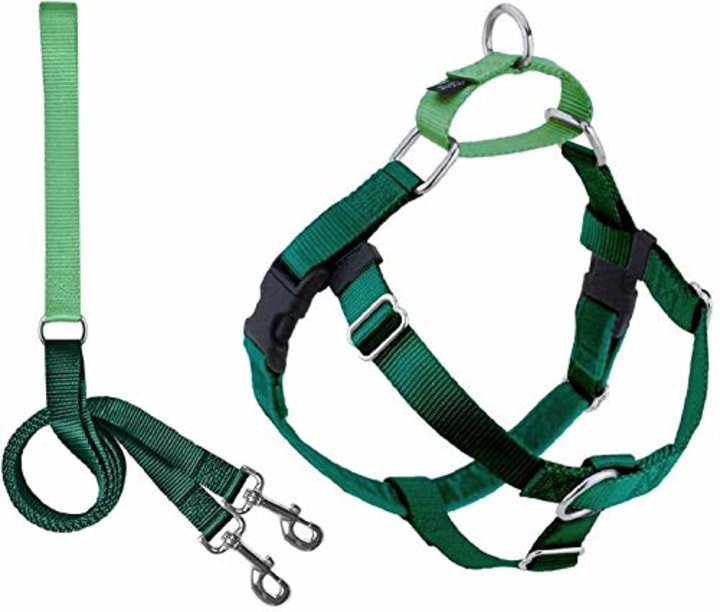 5 Best No-Pull Harnesses, Tested by Experts