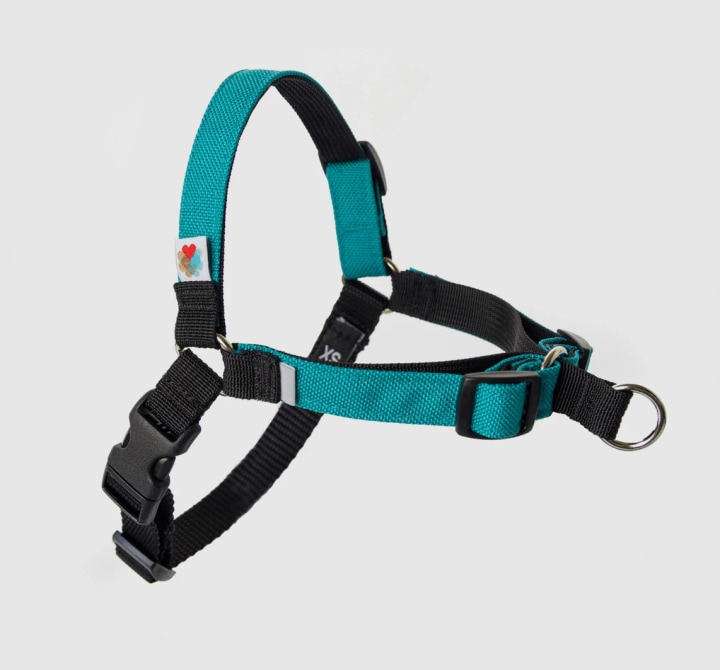 11 Best Dog Harnesses 2023
