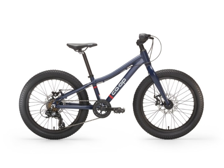 Co-op Cycles REV 20 6-Speed Plus Kids&#039; Bike