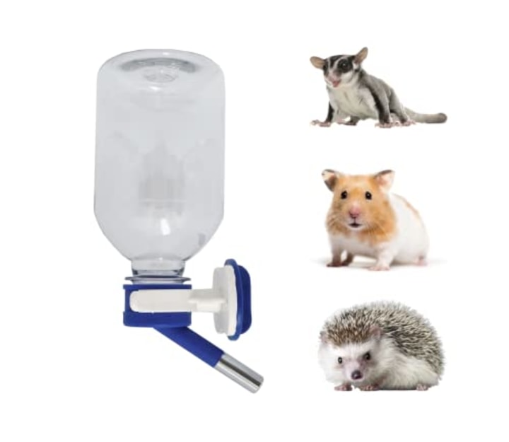 Cute Hamster Light Weight 14 Oz Stainless Steel Water Bottle 
