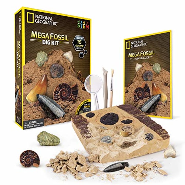 NATIONAL GEOGRAPHIC Mega Fossil Dig Kit - Excavate 15 real fossils including Dinosaur Bones, Mosasaur &amp; Shark Teeth - Great STEM Science gift for Paleontology and Archeology enthusiasts of any age