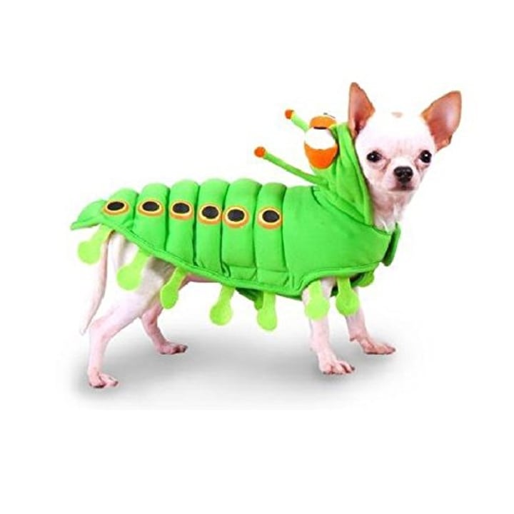 Caterpillar Dog Costume