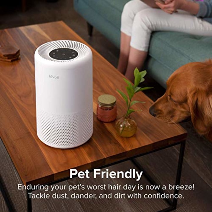 LEVOIT Air Purifier for Home Allergies and Pets Hair, Smokers, True HEPA Filter, Quiet Filtration System in Bedroom, Removes Smoke Odor Dust Mold, Night Light &amp; Timer, Vista 200