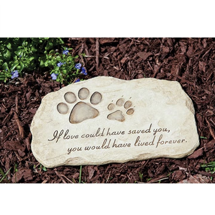 Evergreen Garden Pet Paw Print Painted Polystone Stepping Stone