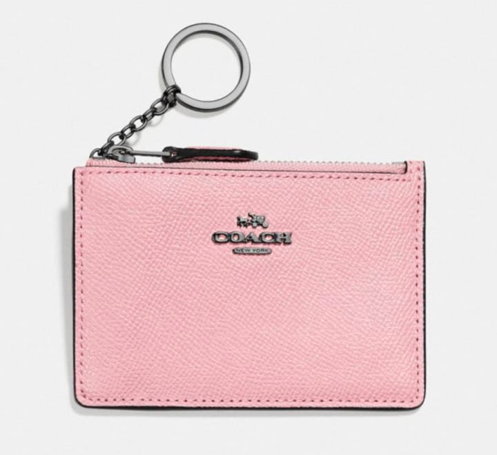 Coach Mini Skinny ID Case