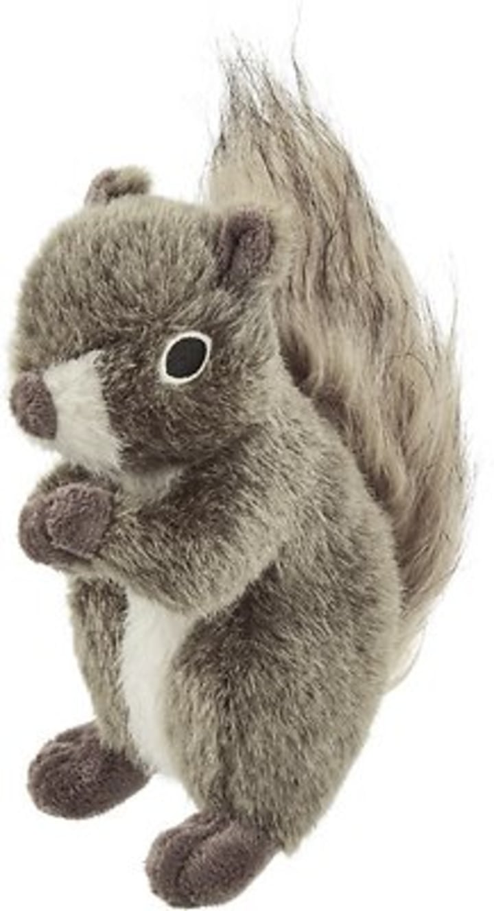 Frisco Fur Really Real Squirrel Dog Toy