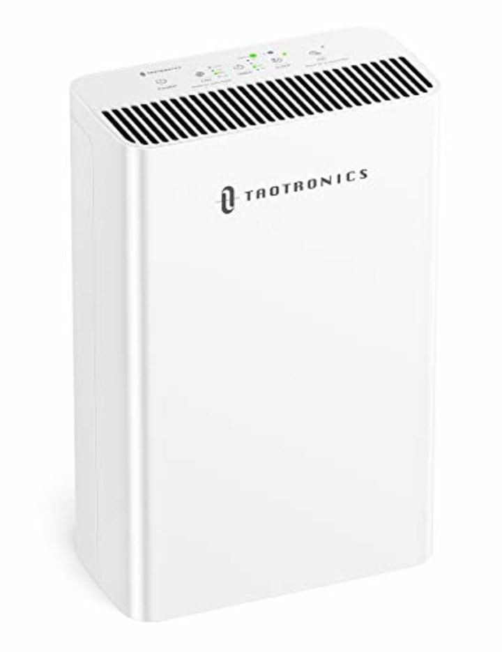 TaoTronics HEPA Air Purifier for Home, Allergies Smoke Pollen Pets, Home Air Cleaner Filtration System, Odors Dust, Sleep Mode Timer Auto Mode Negative Ion Mode, Air Quality Indicator
