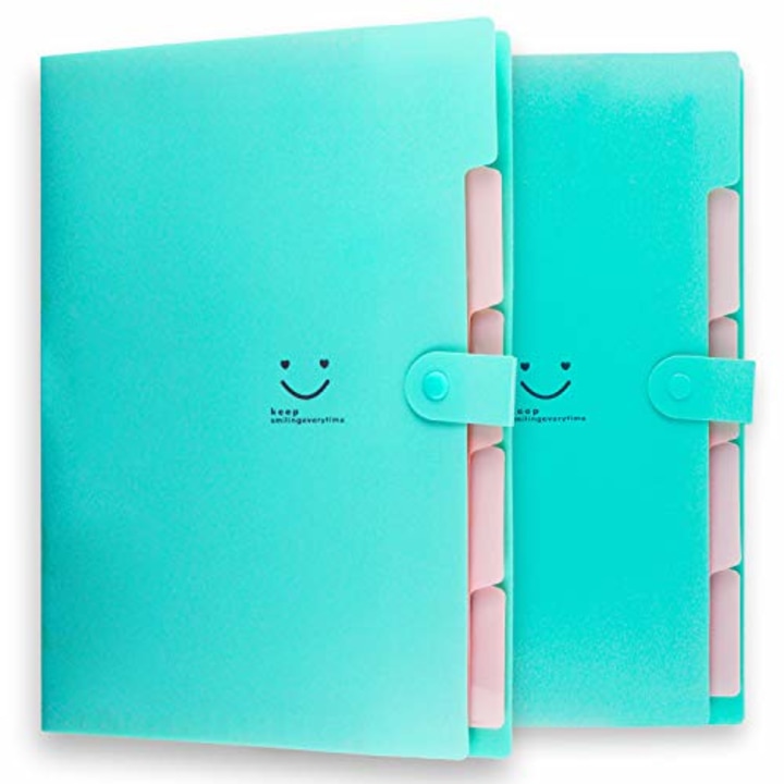 Filly Wink Placstic Expanding File Folders