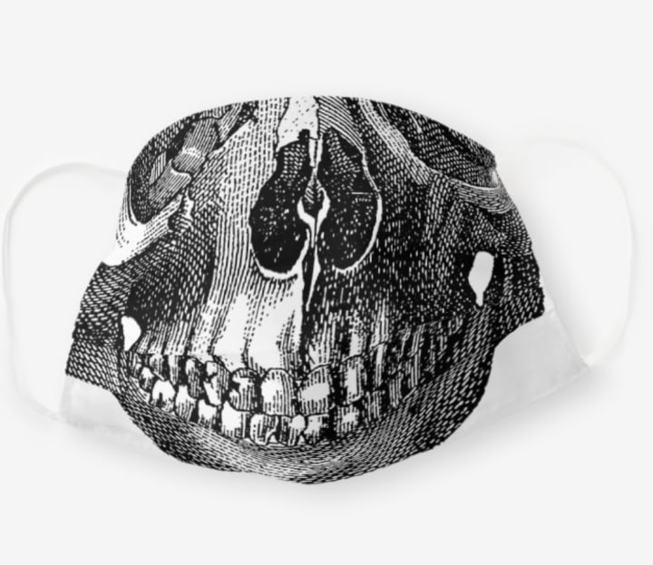 Vintage Skull Anthropology Drawing Cloth Face Mask