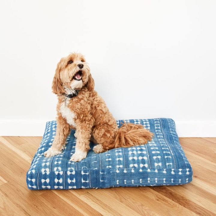 BackupDesign Custom Dog Bed