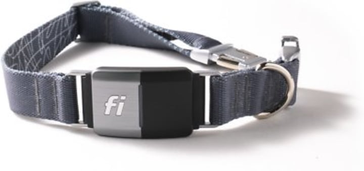 Fi Series 2 GPS Tracker Smart Dog Collar
