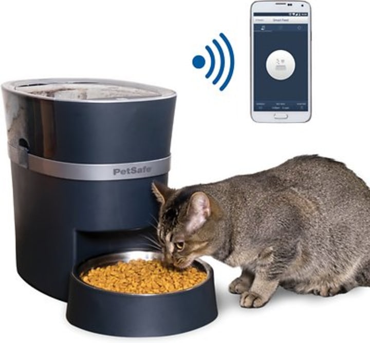 PetSafe Smart Feed 2.0 Automatic Dog &amp; Cat Feeder, Blue