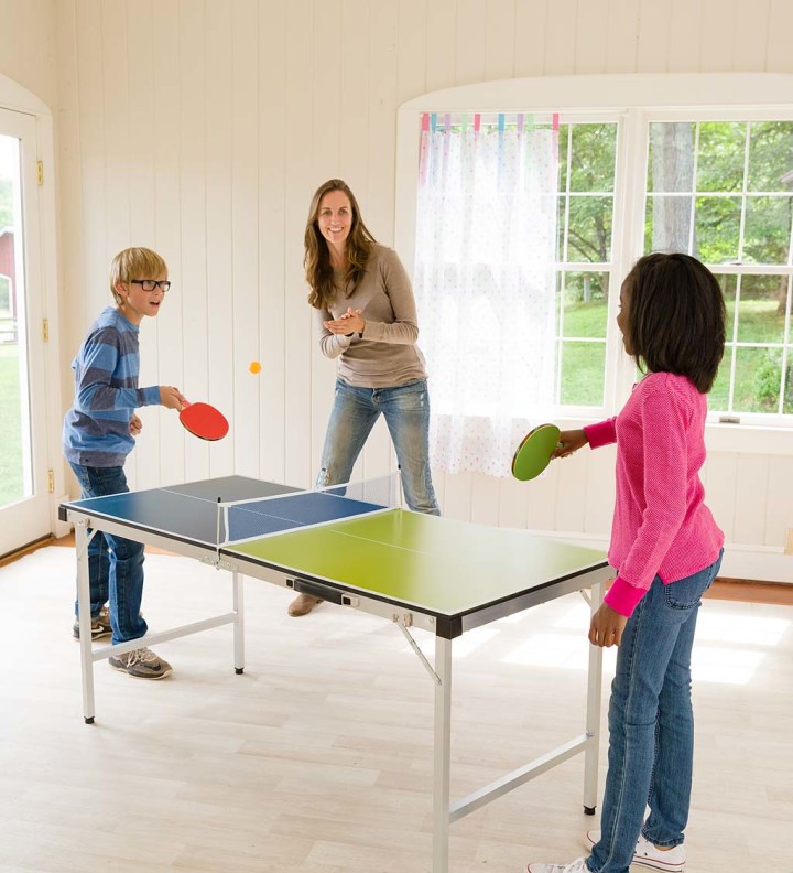 Pick-Up-and-Go Portable Table Tennis 730761 |Exclusive