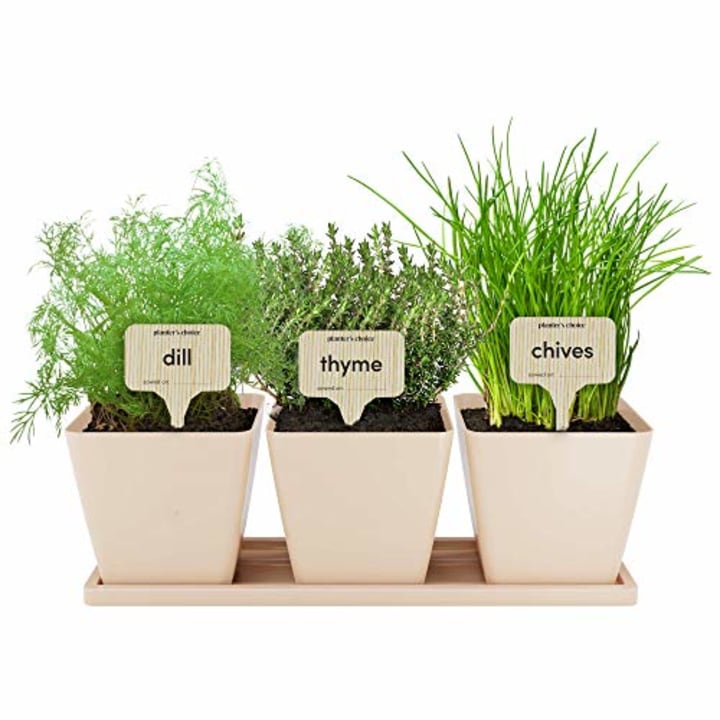 9 Herb Window Garden - Indoor Herb Growing Kit - Kitchen Windowsill Starter Kit - Easily Grow 9 Herbs Plants from Seeds with Comprehensive Guide - Unique Gardening Gifts for Women &amp; Men
