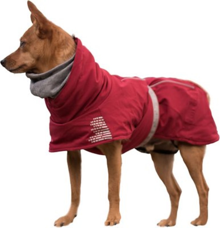 Hurtta Extreme Warmer Insulated Dog Parka