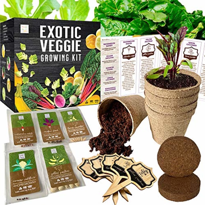Exotic Vegetable Indoor Garden Seed Starter Growing Kit