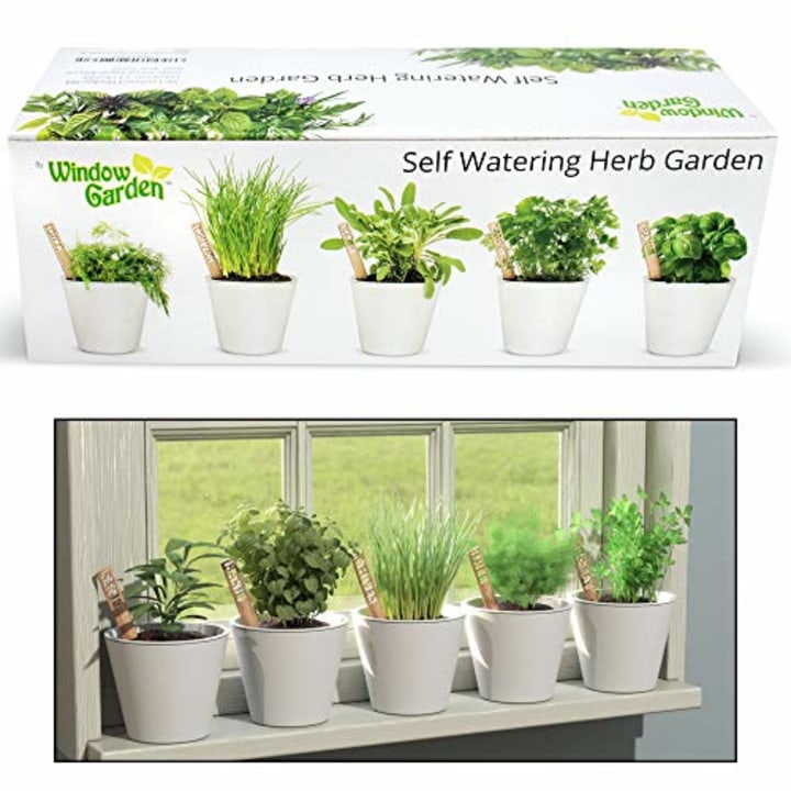 Window Garden Self Watering Herb Starter Kit