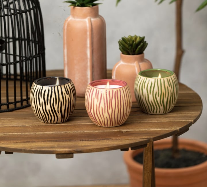 Tropical Stripes Citronella Candle (3-Pack)