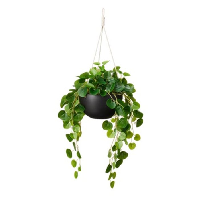 24&quot; x 14&quot; Faux String of Hearts Plant in Ceramic Pot Black - Hilton Carter for Target