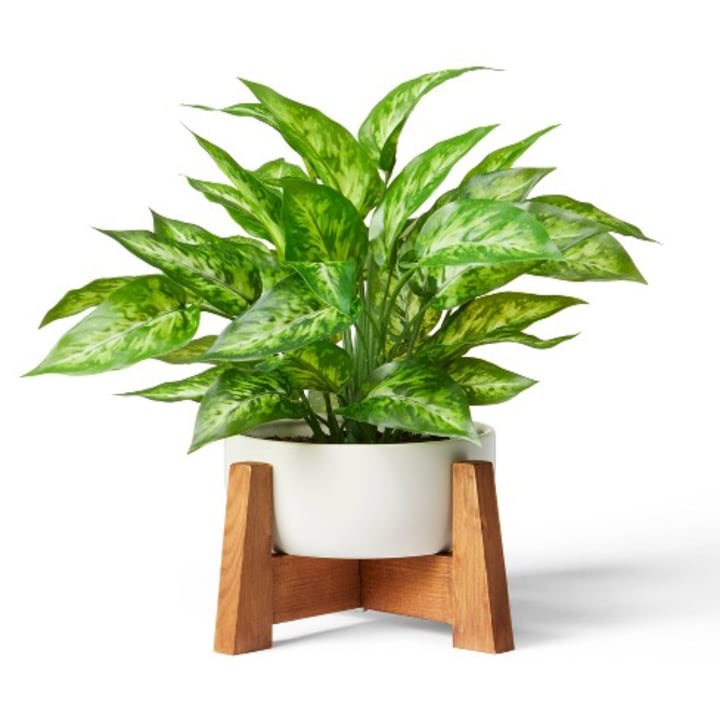 14&quot; x 10&quot; Faux Philodendron Birkin Plant with Wood Stand Planter White - Hilton Carter for Target