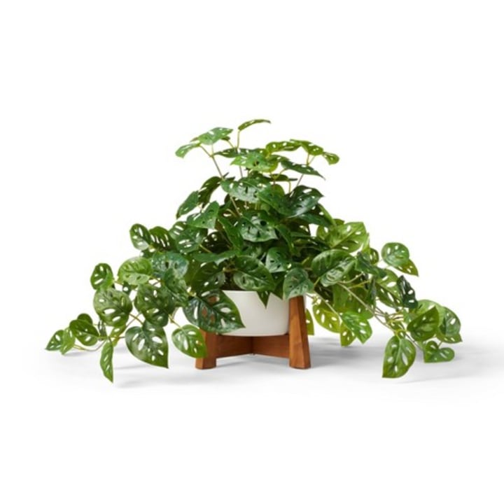 Faux Monstera Adansonii Plant in Pot with Wood Stand White