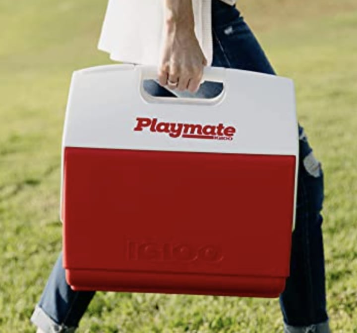 Igloo Playmate Elite Personal Sized Cooler
