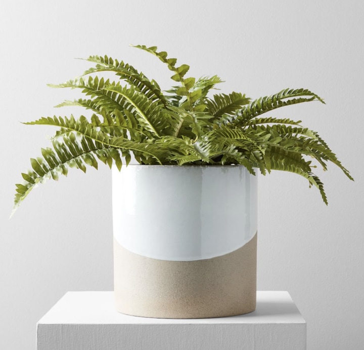 Faux Potted Green Fern Plant