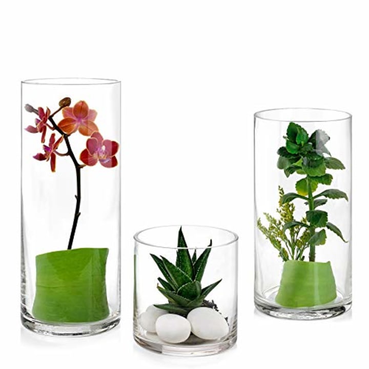 Parnoo Glass Cylinder Vases (Set of 3)