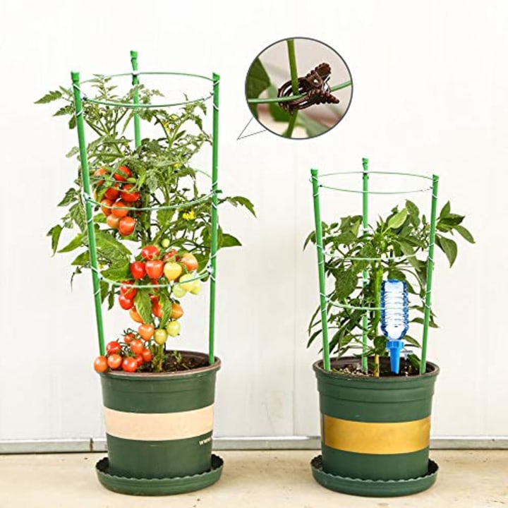 Mimeela Tomato Supports (Set of 4)