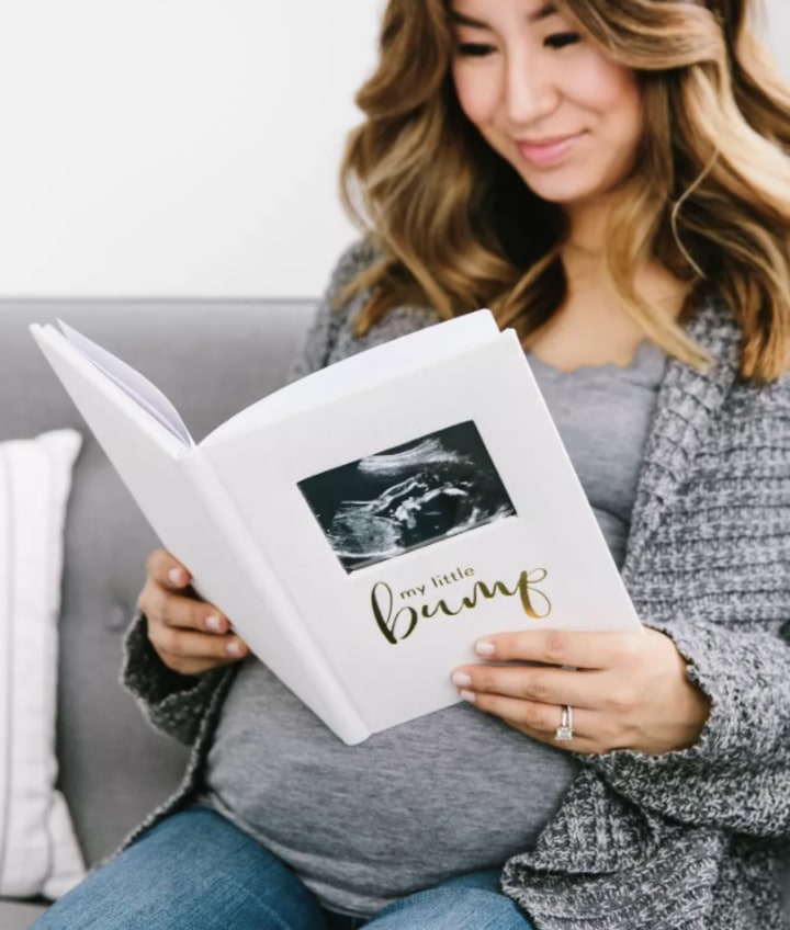 My Little Bump Pregnancy Journal