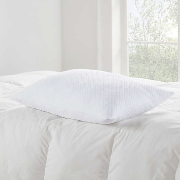 Brookstone Back/Stomach Sleeper Pillow