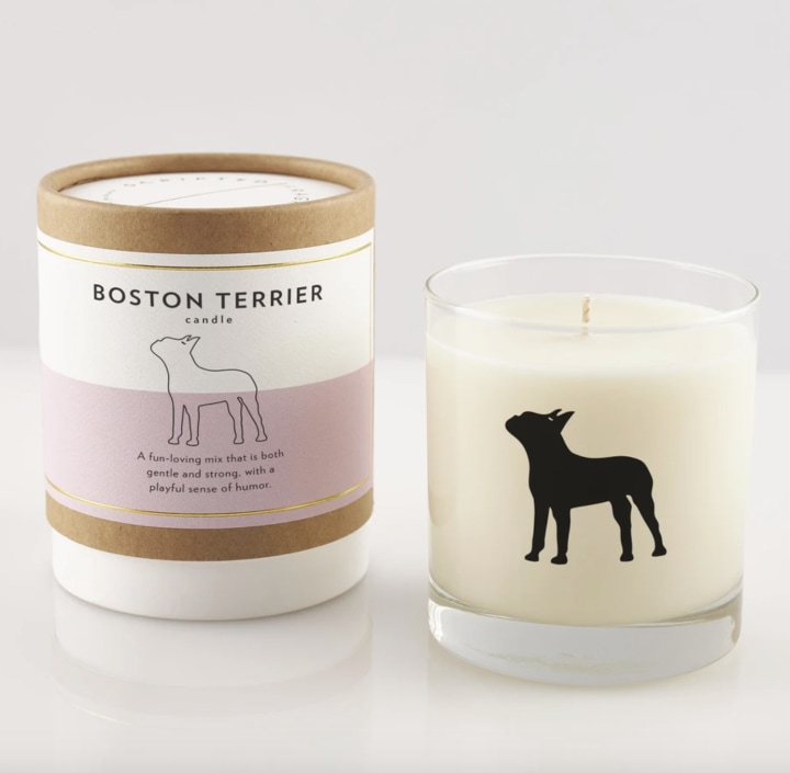 Rescue Dog Soy Candle in Rocks Glass