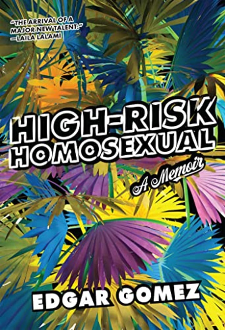 &quot;High-Risk Homosexual,&quot; by Edgar Gomez
