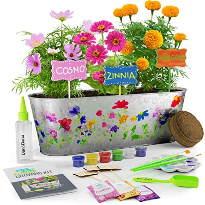 Paint &amp; Plant Flower Growing Kit