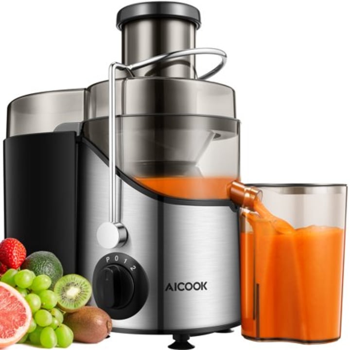 Stainless Steel Juicer Extractor