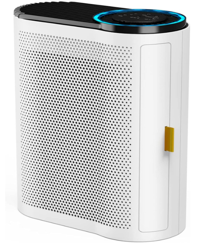 Air Purifier for Large Room