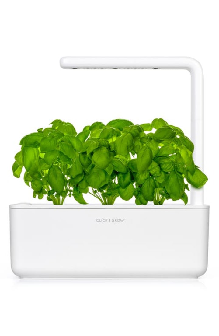 Click &amp; Grow Smart Garden 3 Self Watering Indoor Garden in White at Nordstrom