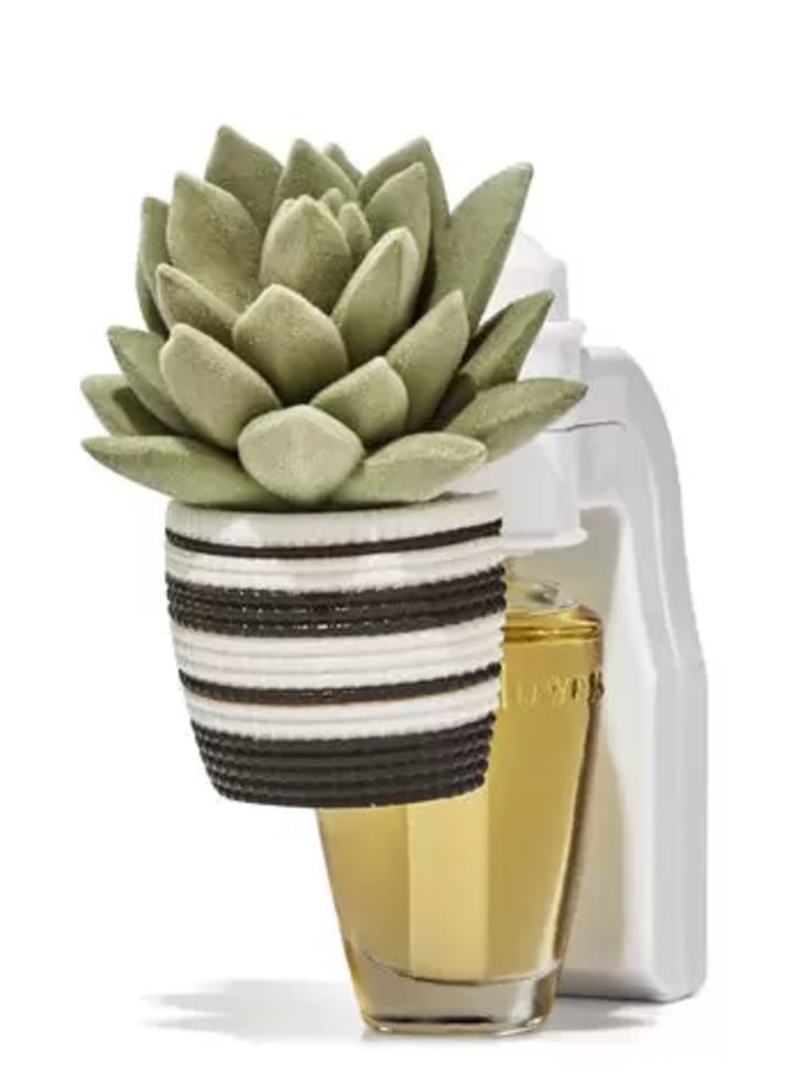 Succulent Basket Wallflowers Fragrance Plug