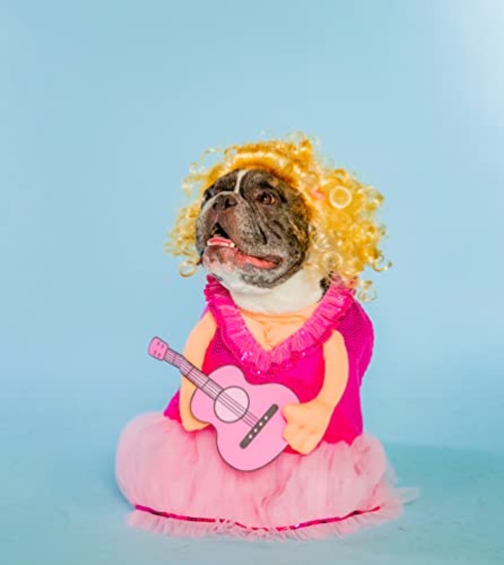 Doggy Parton Dress, Guitar and Wig Set