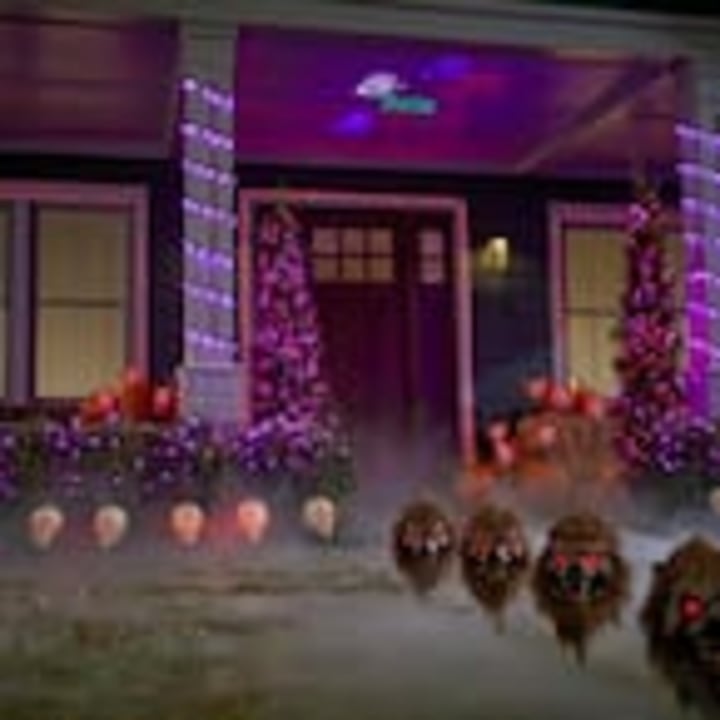 100-Count Purple and Orange LED Halloween Lights
