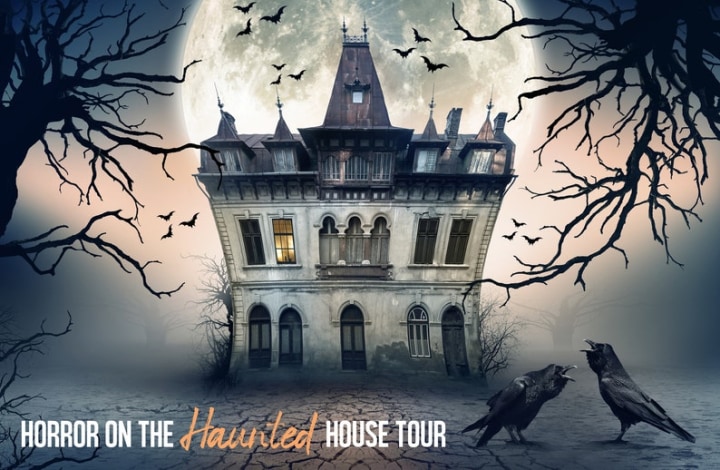 Horror on the Haunted House Tour, Halloween-Themed Murder Mystery Party Game with Virtual Host Guide, Murder Mystery Game, Digital Download