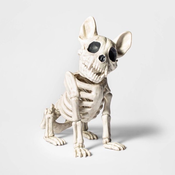 Hyde &amp; EEK! Boutique French Bulldog Skeleton