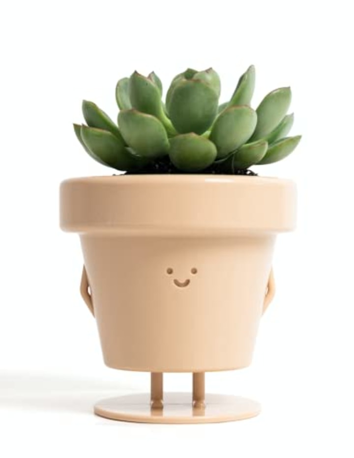 Standing Indoor Plant Pot
