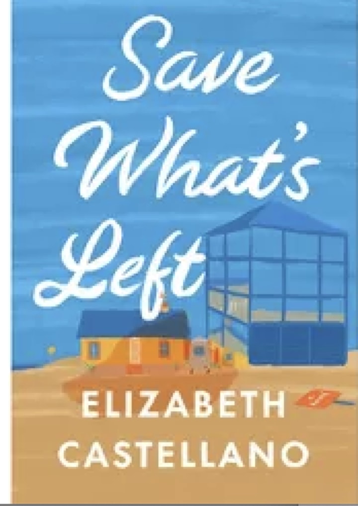 Save What's Left: A Novel