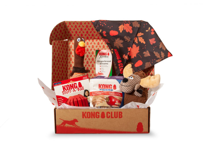 kong club dog subscription box